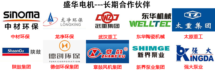 山東盛華電機(jī)有限公司合作伙伴