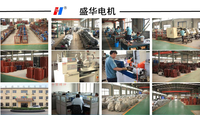 山東電機廠中材環(huán)保集團--環(huán)保設(shè)備專用電機定制案例