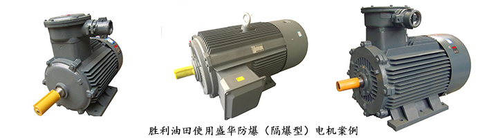 山東電機(jī)廠,防爆電機(jī),電機(jī)使用用戶