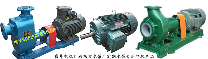 山東電機廠,水泵專用電機,電機定制
