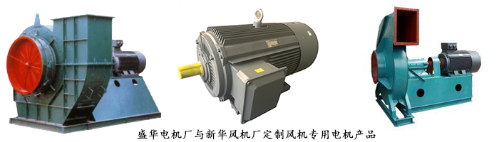 山東電機(jī)廠,風(fēng)機(jī)專用電機(jī),電機(jī)定制