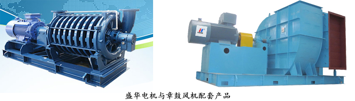 風(fēng)機(jī)專用電機(jī)