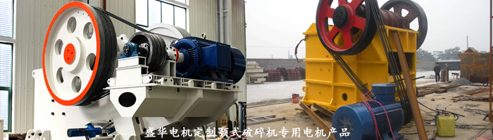 山東盛華電機生產(chǎn)廠家,顎式破碎機專用電機,專用電機定制