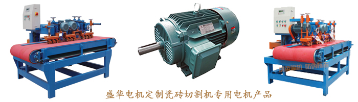 山東盛華電機(jī)生產(chǎn)廠家,瓷磚切割機(jī)專用電機(jī),電機(jī)定制