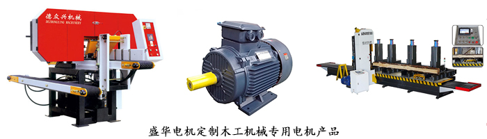 山東聊城電機(jī)生產(chǎn)廠家,木工機(jī)械設(shè)備專用電機(jī),電機(jī)定制