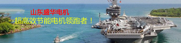 山東電機.聊城電機生產(chǎn)廠家,高效節(jié)能電機