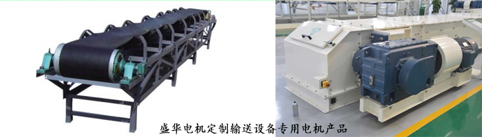 山東聊城盛華電機(jī)生產(chǎn)廠家,輸送設(shè)備專用電機(jī),電機(jī)定制
