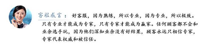 山東盛華電機生產(chǎn)廠家,高效節(jié)能電機,高原電機