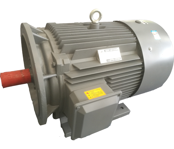 聊城電機(jī)廠,電機(jī)生產(chǎn)廠家,高效節(jié)能電機(jī)