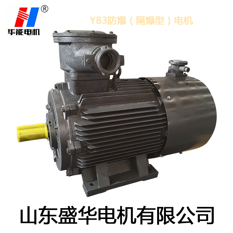山東變頻電機(jī),電機(jī)生產(chǎn)廠家,大功率防爆電機(jī),電機(jī)防護(hù)等級(jí) 山東變頻電機(jī),電機(jī)生產(chǎn)廠家,大功率防爆電機(jī),電機(jī)防護(hù)等級(jí)