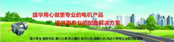 山東電機(jī)廠,盛華電機(jī),大功率高效電機(jī),大功率電機(jī),高效電機(jī)