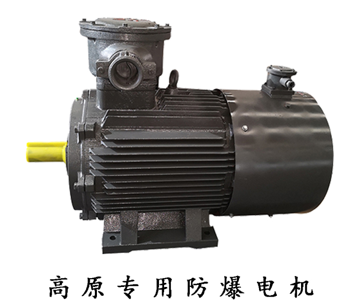 山東電機(jī)廠,高原電機(jī),電機(jī)廠家