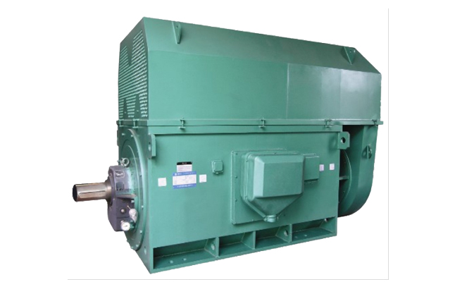 山東電機(jī)廠,電機(jī)廠家,高壓電機(jī),大功率電機(jī)