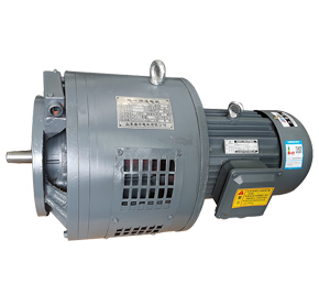 環(huán)保設(shè)備專(zhuān)用電磁調(diào)速電機(jī)