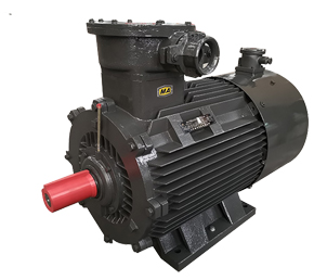 船用防爆電機(jī)