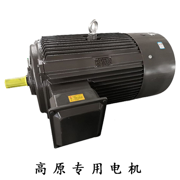 山東電機(jī)廠,電機(jī)生產(chǎn)廠家,三相異步電機(jī)