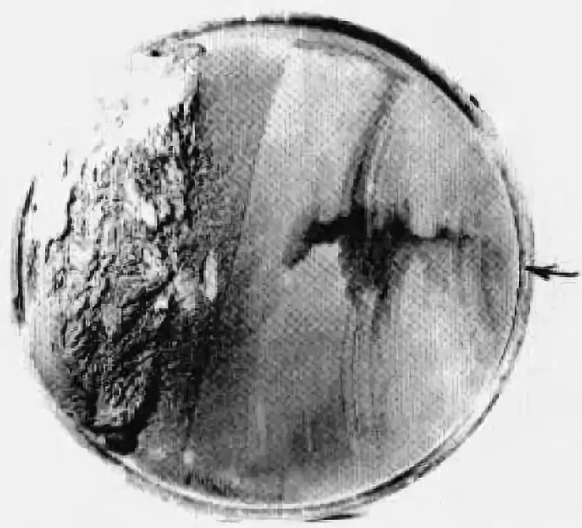 山東電機廠,山東電機廠家,三相異步電機,盛華電機廠 山東電機廠,山東電機廠家,三相異步電機,盛華電機廠