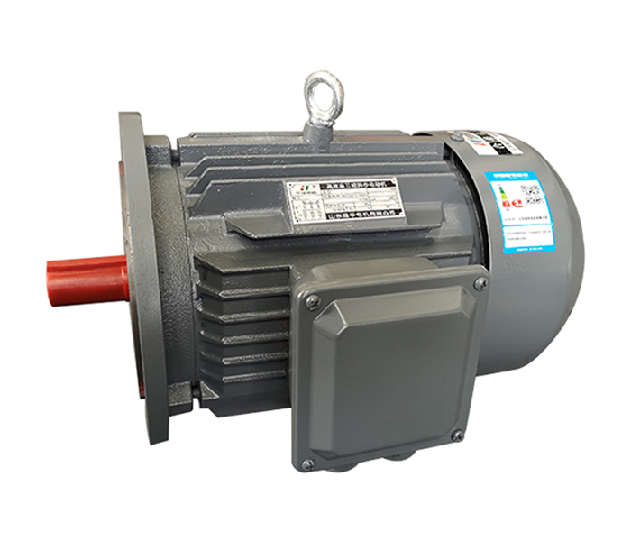 超高效率電動機,山東電機廠家,電機生產(chǎn)廠家