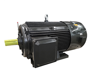 變頻防爆電動機