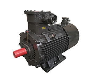 隔爆型變頻電機