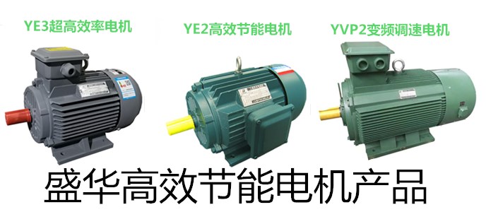三相異步電動(dòng)機(jī) 山東電機(jī)廠,盛華電機(jī),三相異步電動(dòng)機(jī),三相電動(dòng)機(jī)
