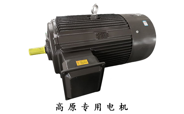 山東電機廠,三相異步電動機,電動機