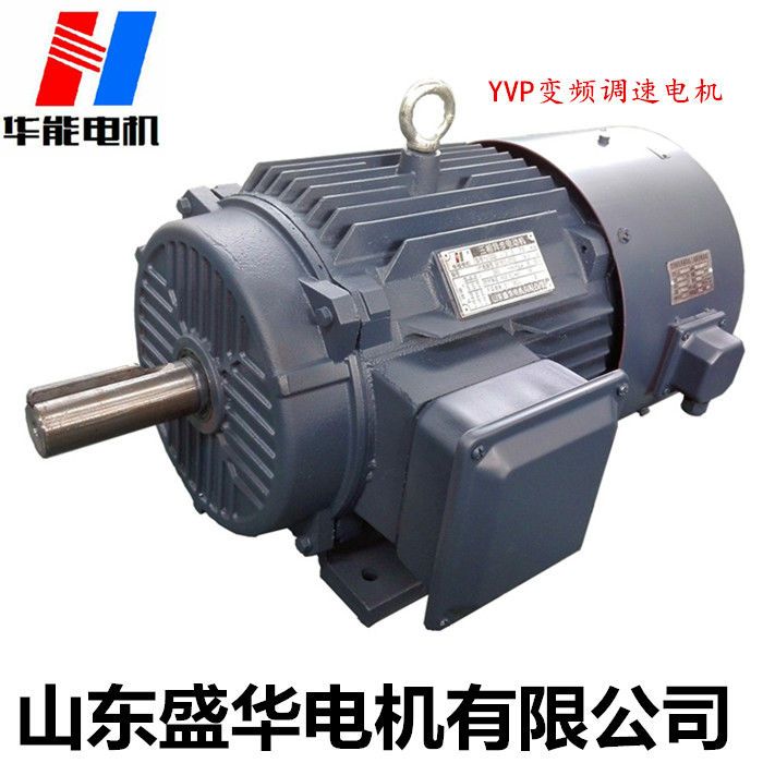 山東電機(jī)廠,電機(jī)生產(chǎn)廠家,高效電機(jī),變頻電機(jī)