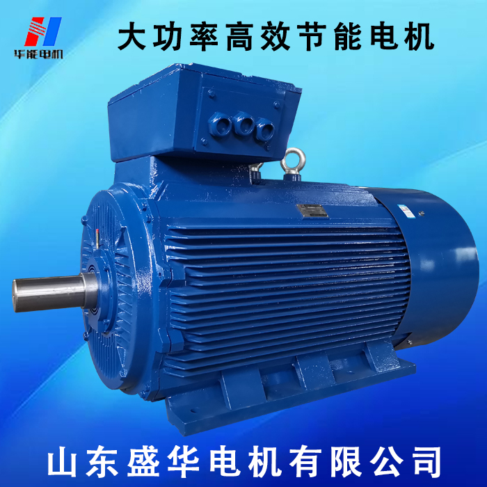 山東電機(jī)廠,電機(jī)定制廠家,電機(jī)生產(chǎn)廠家,大功率電動(dòng)機(jī)