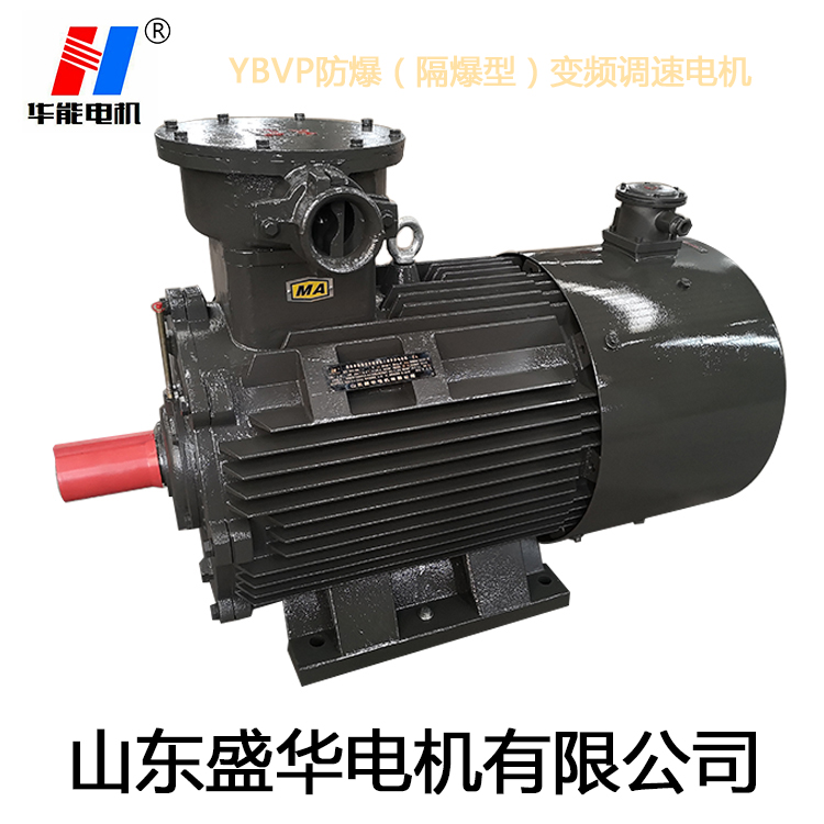 山東電機廠,盛華電機,耐高溫電動機,三相異步電機