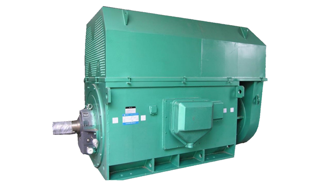 山東盛華電機廠大功率高壓電機