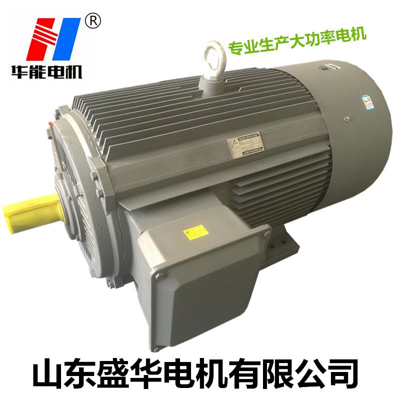 山東大功率電機生產(chǎn)廠家-盛華電機