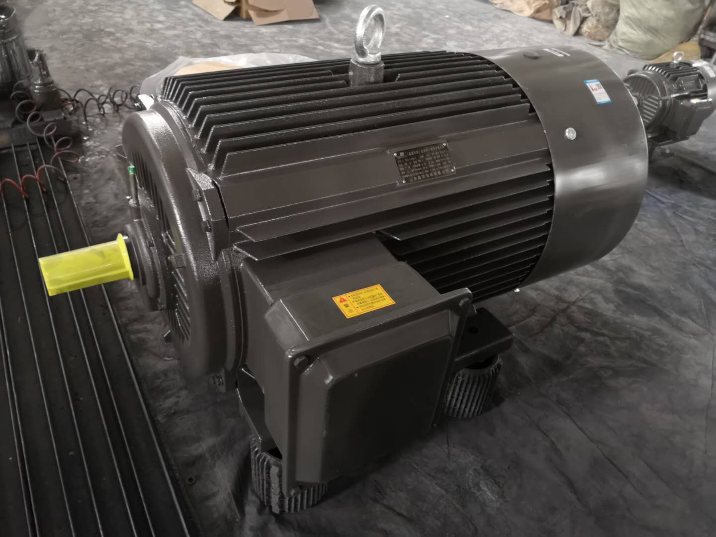 山東盛華-變頻調(diào)速電動機 山東盛華-變頻調(diào)速電動機