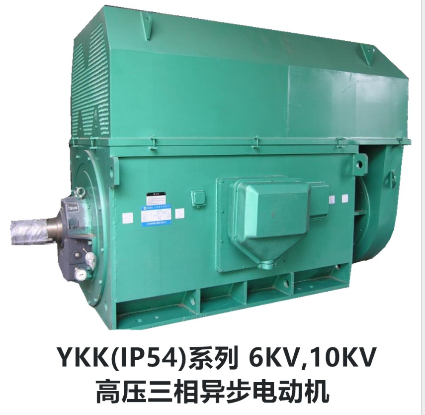 山東盛華-YKK大功率高壓電機(jī)
