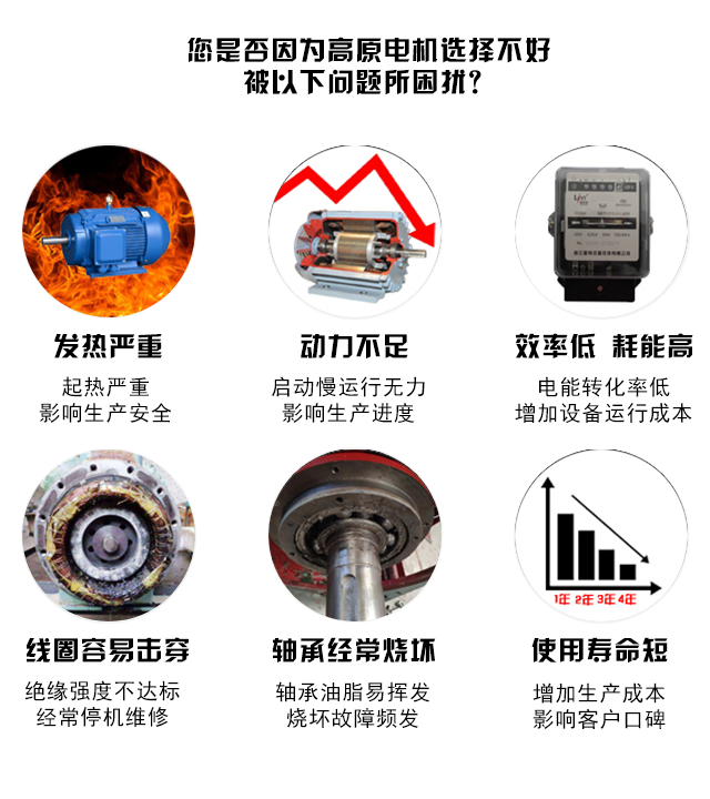 山東高原電機廠-高原專用變頻電機 山東高原電機廠-高原專用變頻電機