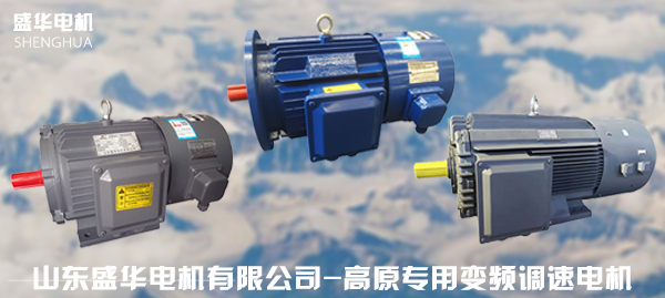 山東高原電機廠家-高原電機產(chǎn)品 山東高原電機廠家-高原電機產(chǎn)品