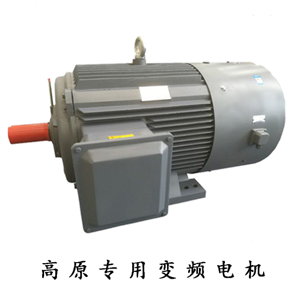 GYP高原專用變頻電機 GYP高原專用變頻電機
