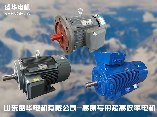 山東高原電機(jī)廠