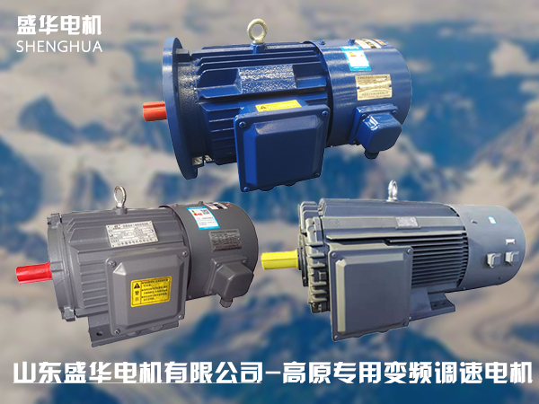 山東高原電機(jī)廠-高原專(zhuān)用變頻電機(jī)