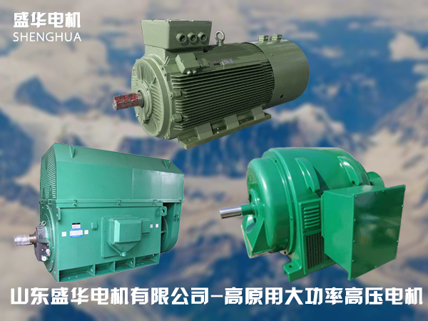 山東盛華高原電機(jī)廠