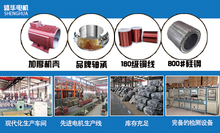 山東盛華電機廠